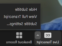 screenshot of zoom control panel detail showing live transcript settings